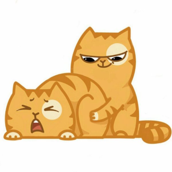 Стикеры. Кот