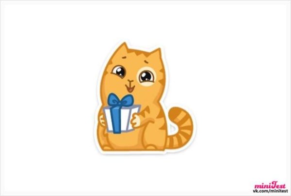 Стикер кот с подарком