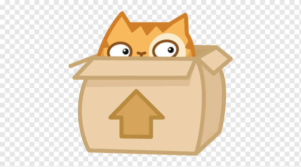 Кот персик в коробке