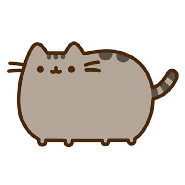 Кот Pusheen и магазин
