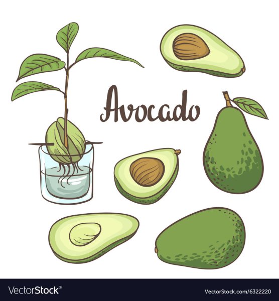Авокадо мультяшный спорт