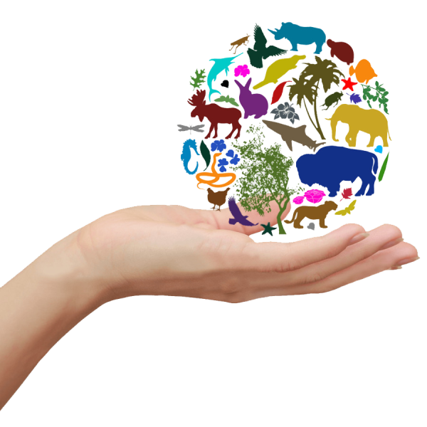 Стикер "путешествие"