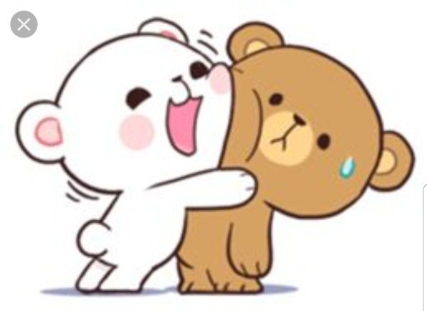 Кавайные котики любовь