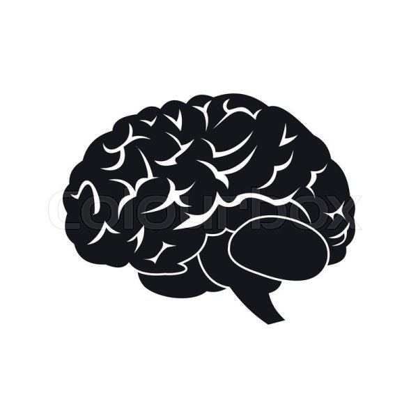 Мозг черно белый