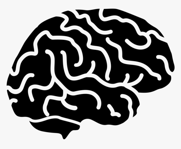 Мозг векторное изображение