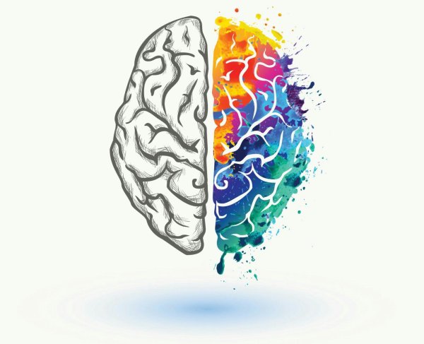 Разноцветный мозг