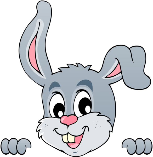 Мордочка зайца