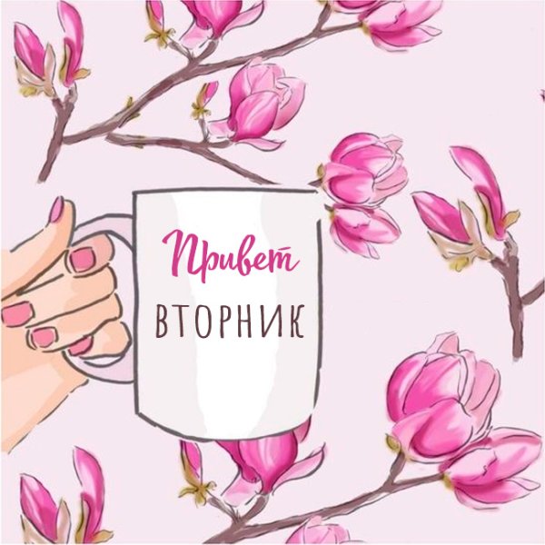 Доброе утро вторника
