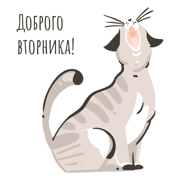 Вторник на английском картинка