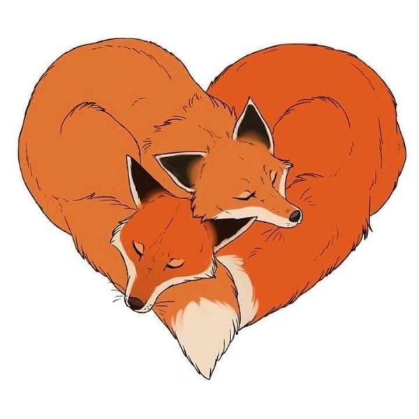 Влюбленный Лисенок