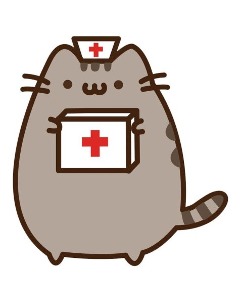 Пушин Кэт медсестра