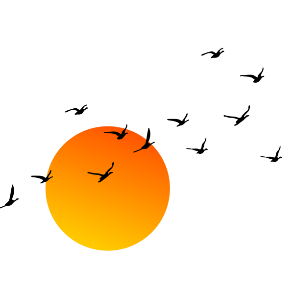 Саша вектор