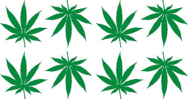 Мультяшная конопля