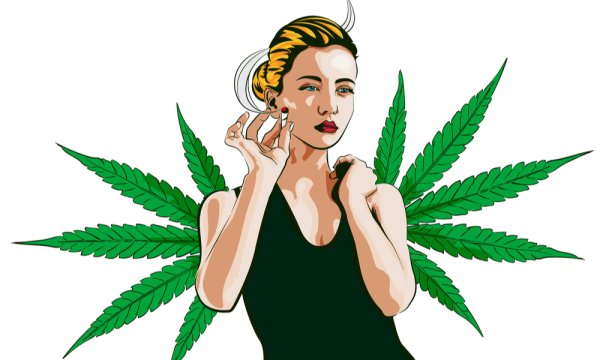 Шишка конопли вектор