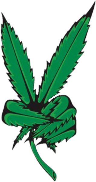 Морти каннабис