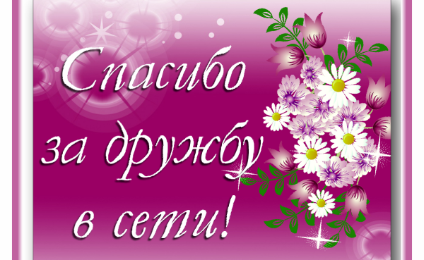 Стикеры спасибо за дружбу