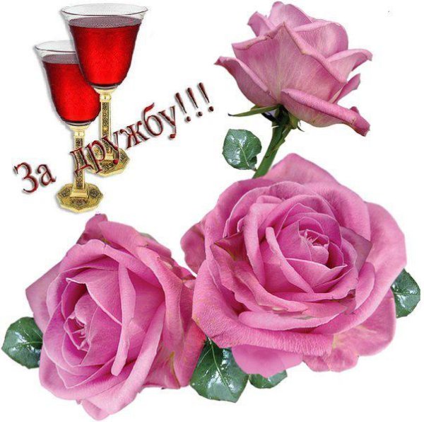 Розы спасибо за дружбу