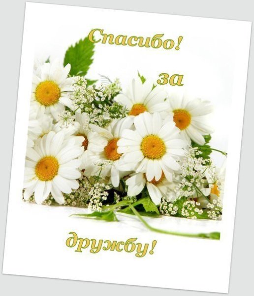 Спасибо за дружбу картинки
