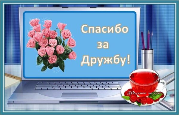 Спасибо за дружбу