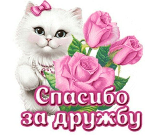 Благодарность за приятное общение