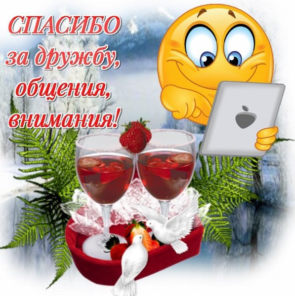 Дорожу нашей дружбой