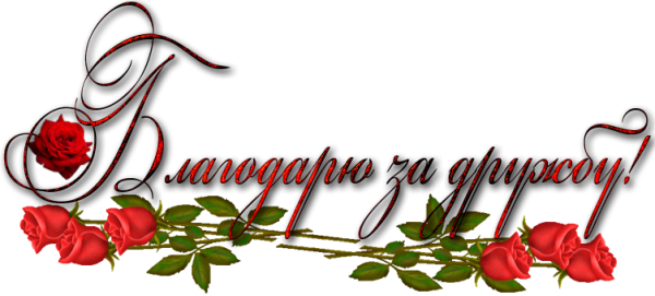 Спасибо вам друзья за дружбу