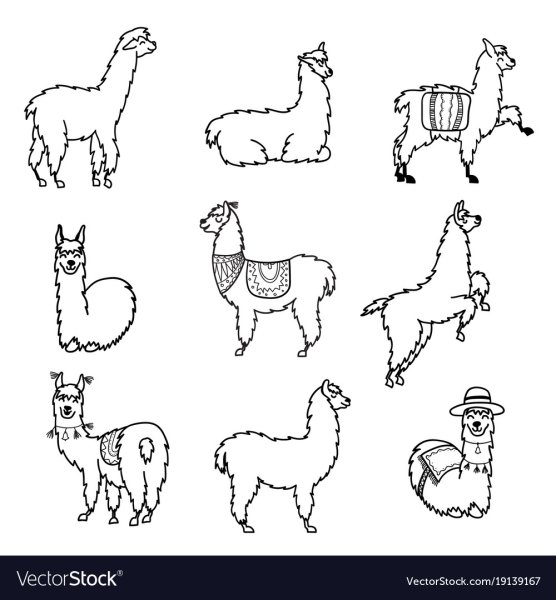 Лама медитирует