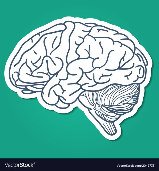 Путешествия Doodle