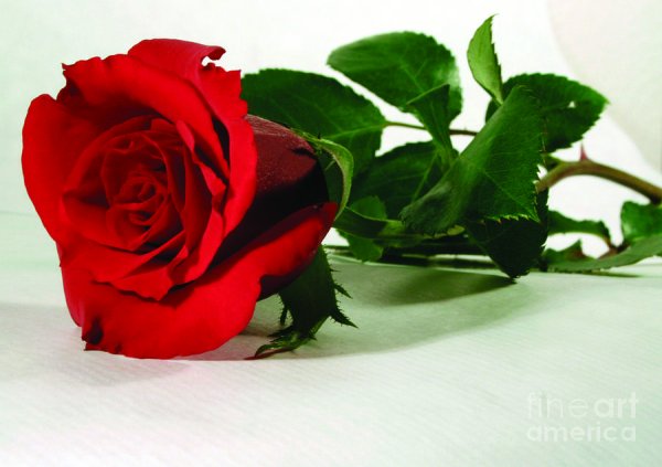 Амин шулай. Булсын с надписью