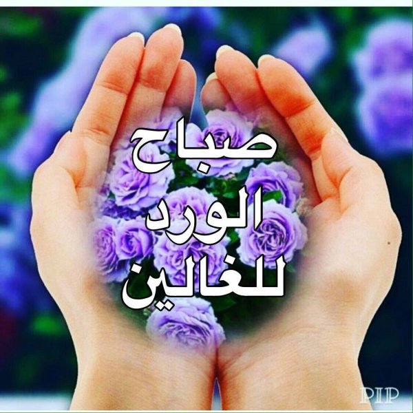 Аминь мусульманские