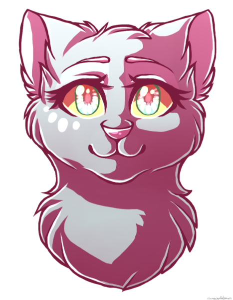 Канал кошка Лана