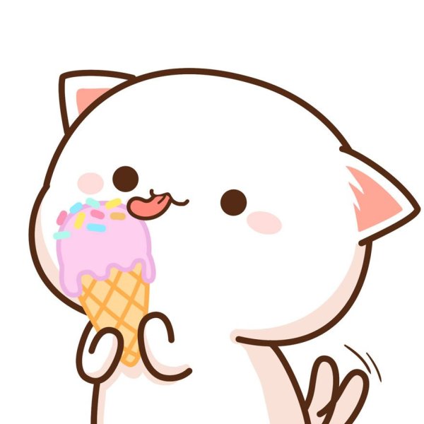 Кошка Лана Лана Лана