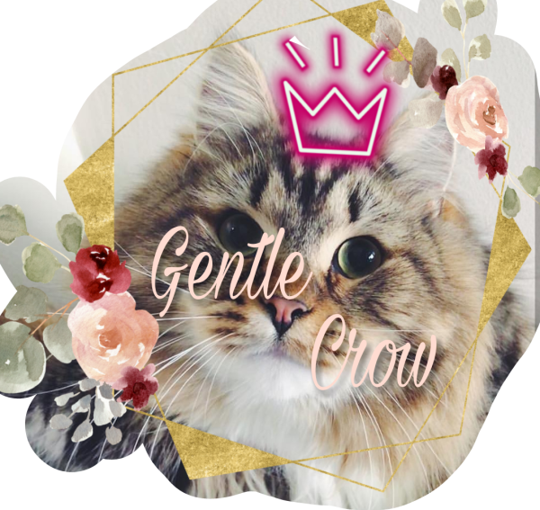 Стикеры для Амино