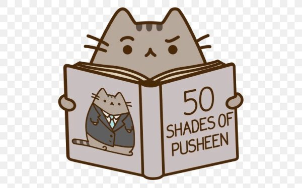 Кот Пушин с книгой