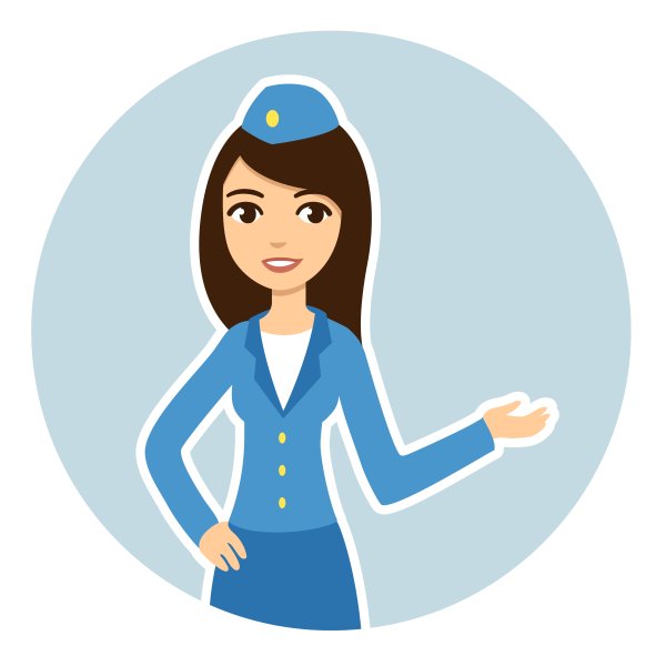 Эмблема стюардессы