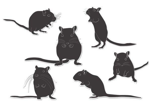 Мышь вектор силуэт