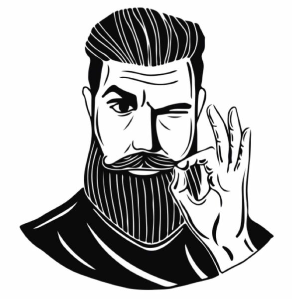 Мужчина с бородой вектор