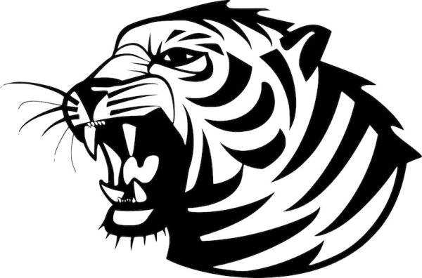 Тигр вектор