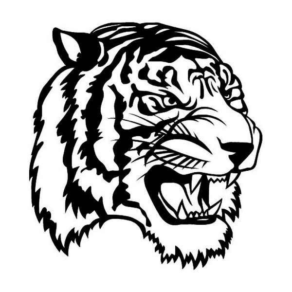 Тигр вектор