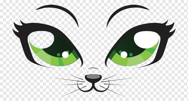 Котик с глазками