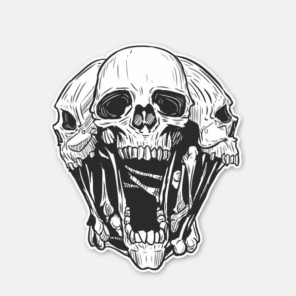 Череп вектор