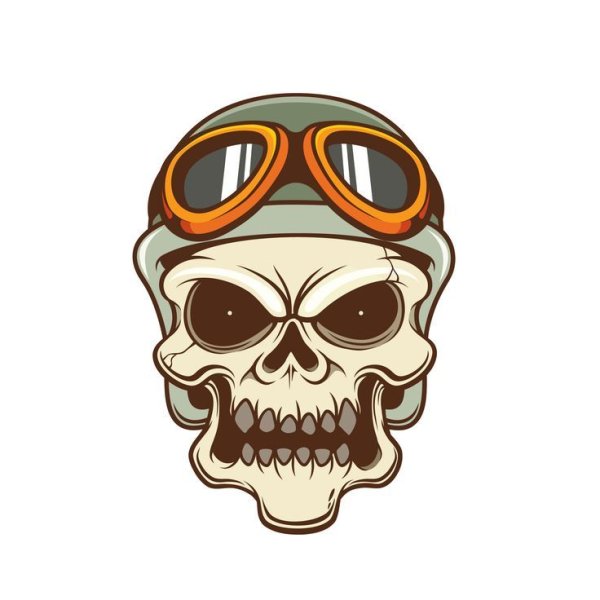 Череп пилот