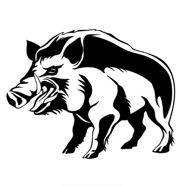 Кабан векторный рисунок
