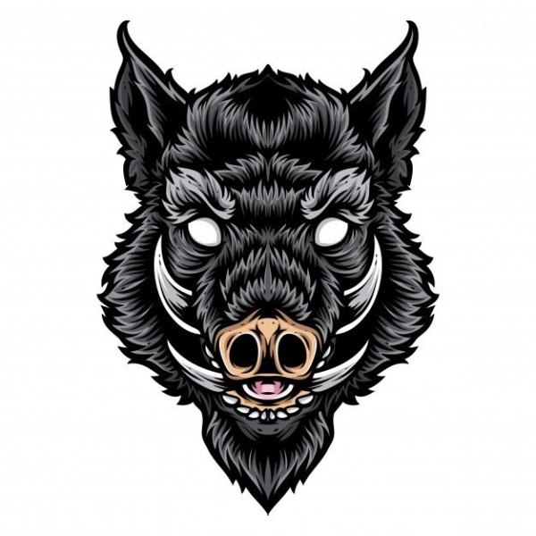 Морда кабана вектор