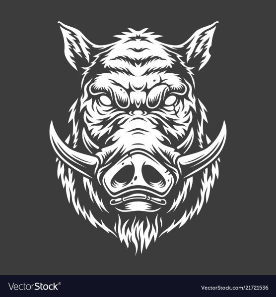 Тату голова кабана