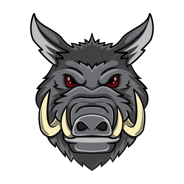 Мордочка кабана