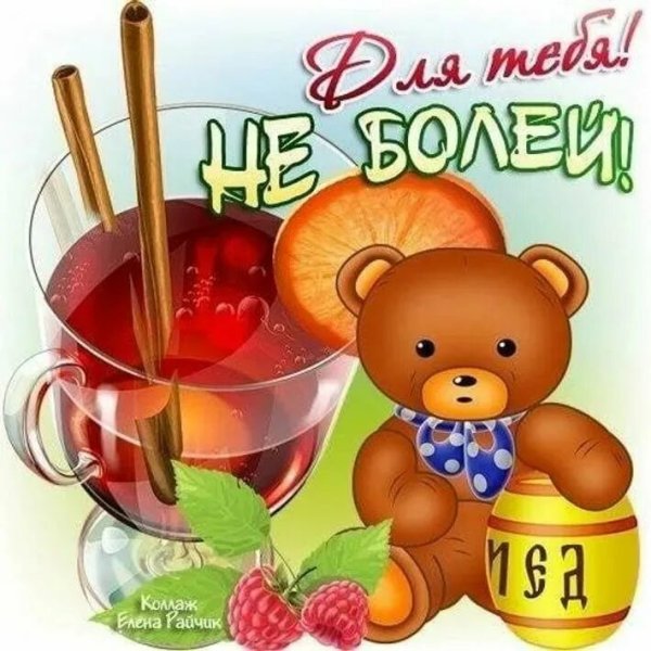 Не болей выздоравливай