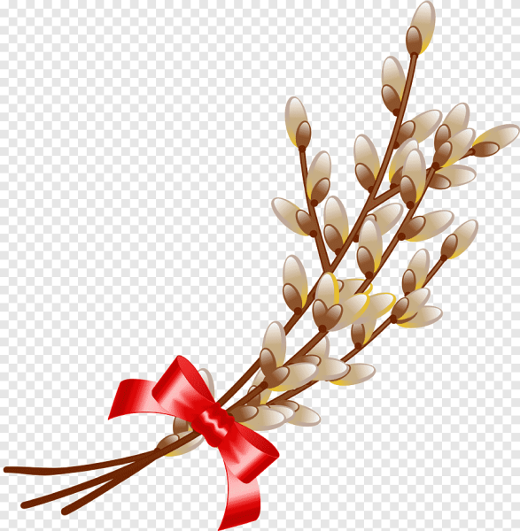 Веточка Вербочки