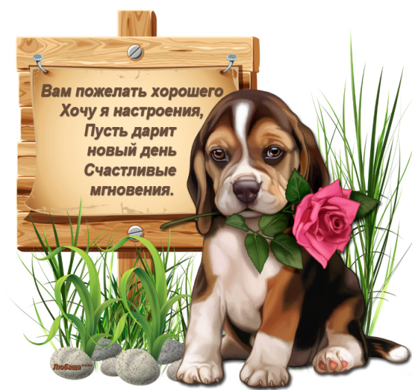 Пасхальное спасибо