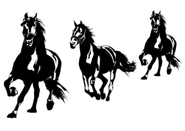 Тройка лошадей вектор